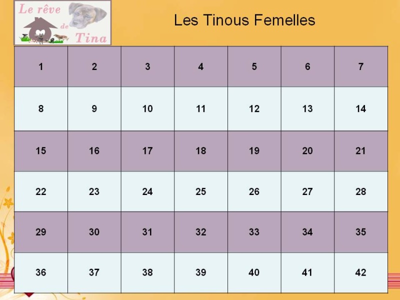Une grille et une liste pour les Tinous femelles ! Loto_f10