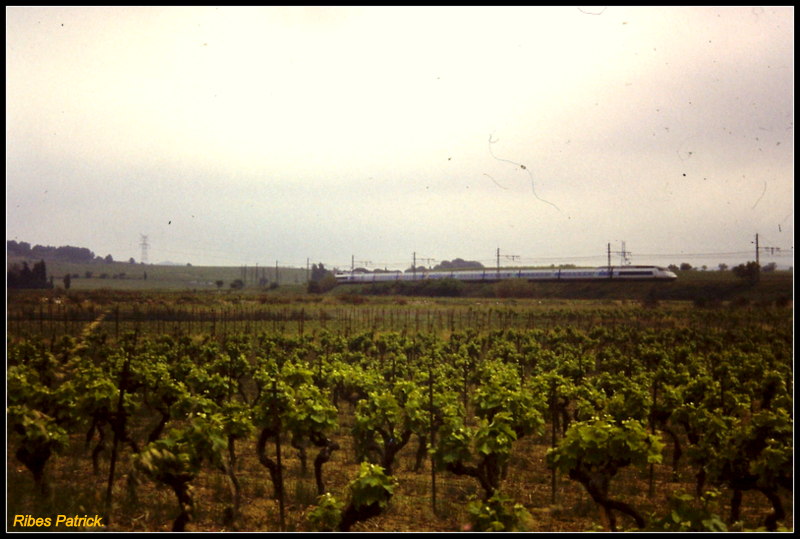 Entre Toulouse et Narbonne....entre 98 et 2000. - Page 3 1-pict32