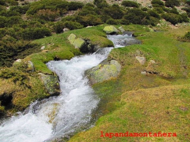 20160521 - COTOS - CABEZAS - NACIMIENTO RÍO MANZANARES 06016