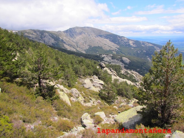 20160514 - LA PEDRIZA - HOYA DE SAN BLAS 06115