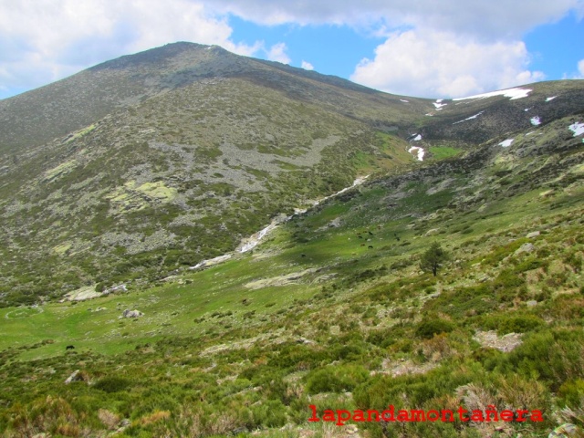 20160521 - COTOS - CABEZAS - NACIMIENTO RÍO MANZANARES 06515