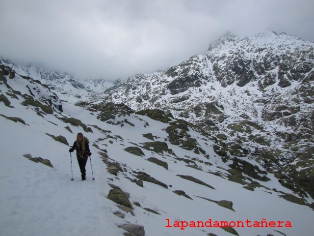 20160409 - GREDOS - CERRO DE LOS HUERTOS 19511