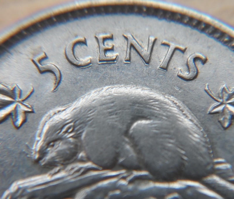 1963 - Coin Détérioré, Double Castor & "5 CENTS" (Dbl. Beaver & 5 CENTS) Sam_1412