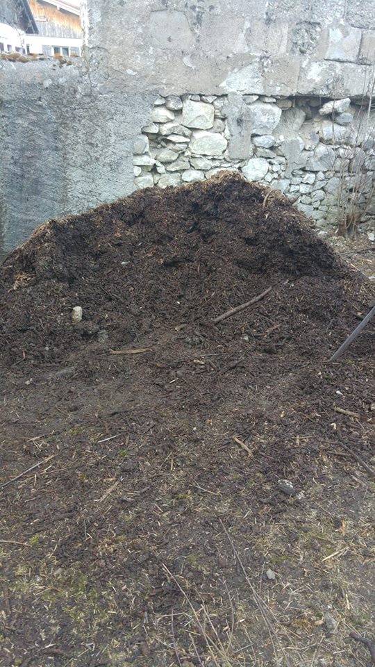 Nouvelle installation Jardin12