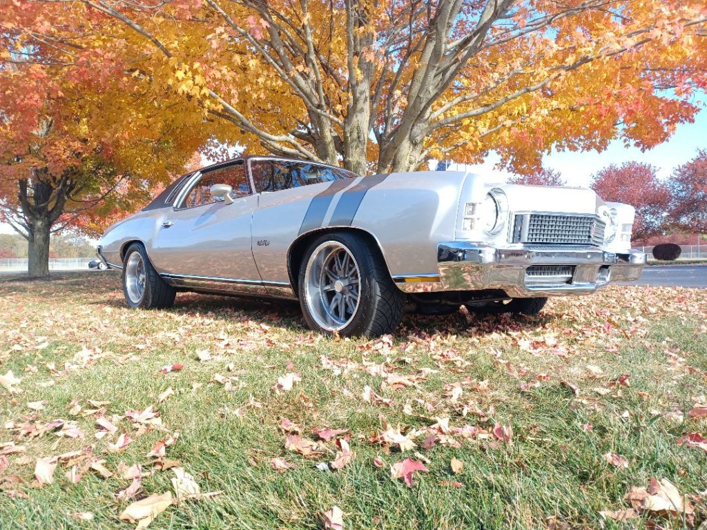 Update :1973 Monte Carlo Body off frame resto. Now with LS! - Page 6 C4_jpe10