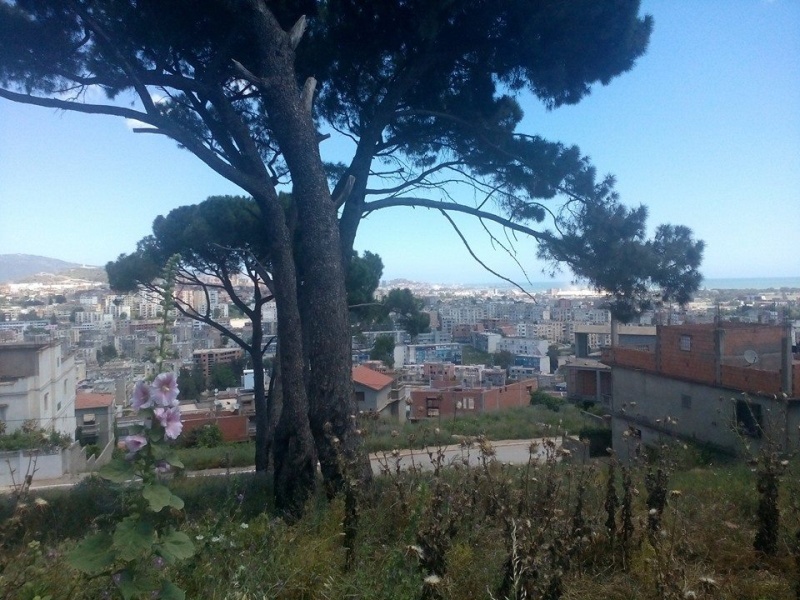 Annaba, photos prises de la crête d'El Bouni le 15 mai 2016 133