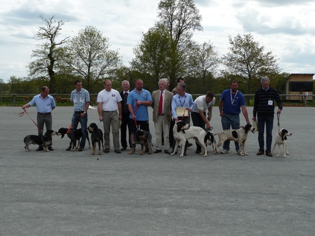 Régionale d'élevage 2016 dans la Creuse P1060413