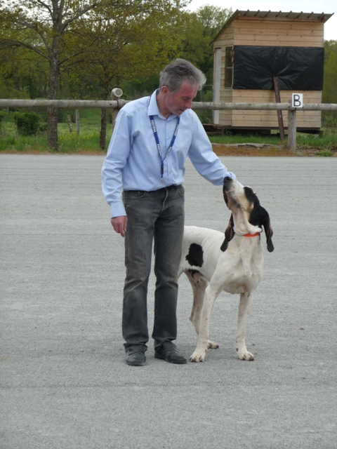 Régionale d'élevage 2016 dans la Creuse P1060423