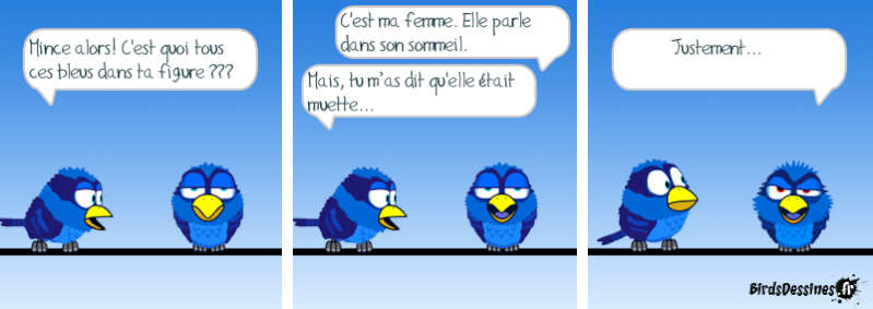 Les Birds Dessinés - Page 2 Somni_10