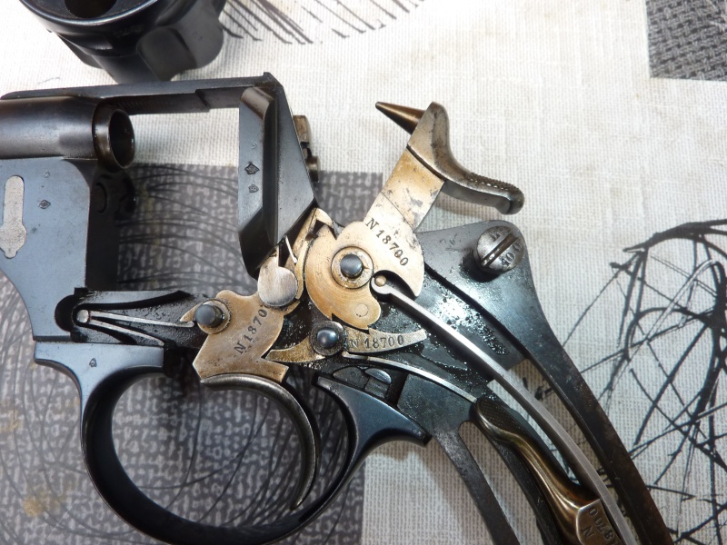 Revolver reglementaire officier 1874 P1020220