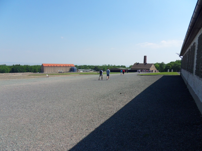 Buchenwald en 2015 Sdc11213