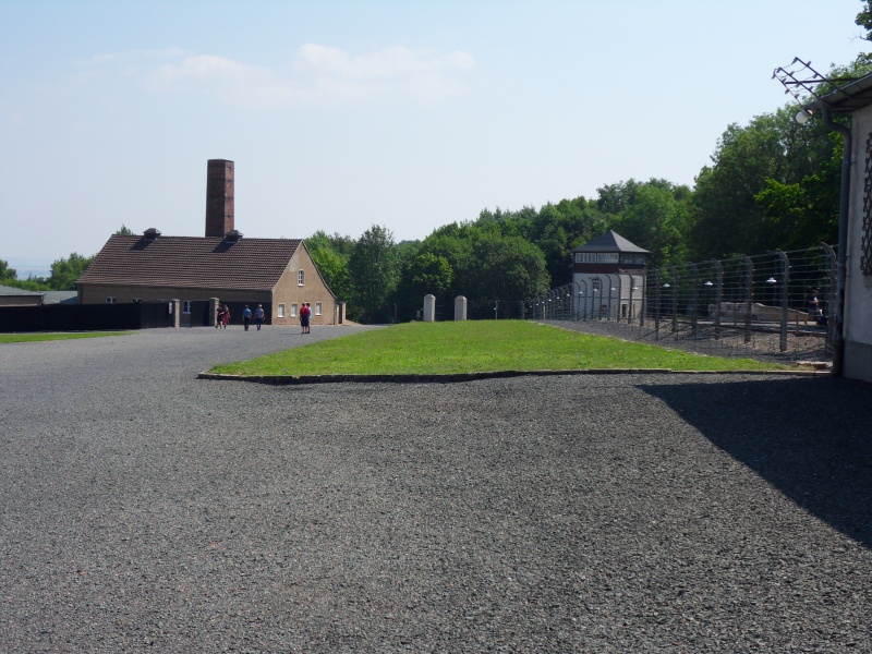 Buchenwald en 2015 Sdc11219