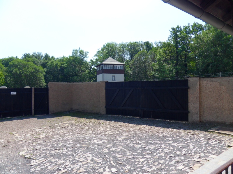 Buchenwald en 2015 Sdc11239