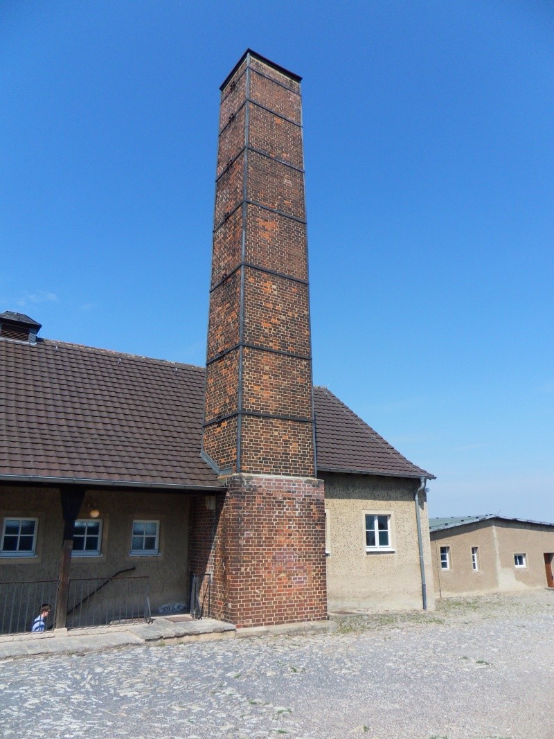 Buchenwald en 2015 Sdc11240