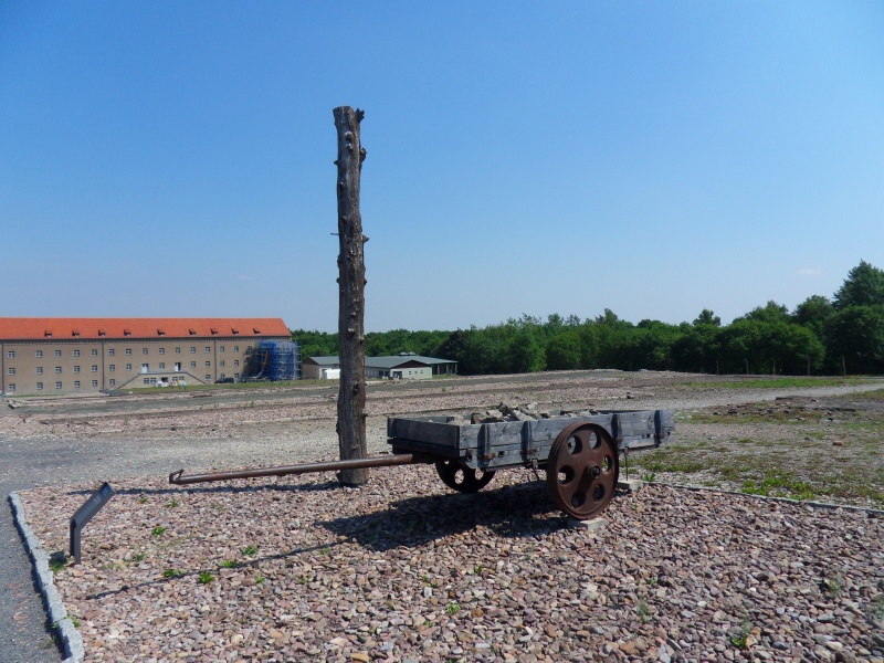 Buchenwald en 2015 Sdc11243
