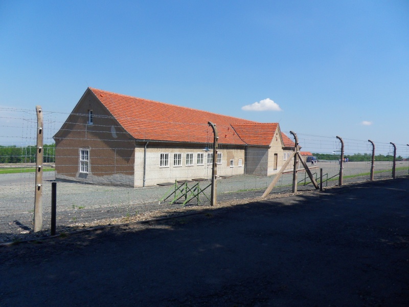 Buchenwald en 2015 Sdc11255