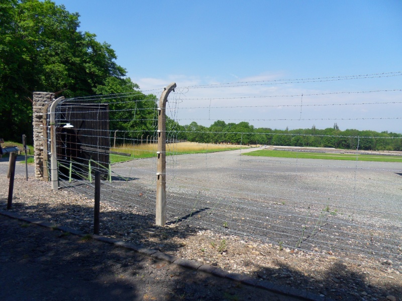 Buchenwald en 2015 Sdc11258