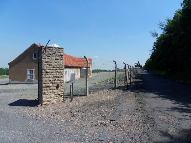 Buchenwald en 2015 Sdc11262