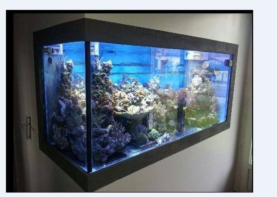 mon bocal a poisson Screen10