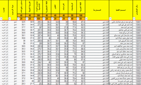 نتيجة الشهادة الابتدائية محافظة الشرقية 2016 كل الادارات في ملف اكسل