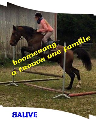 Boomerang success, TF, DELAI: AVANT LA FIN DU MOIS, dep76   13091910