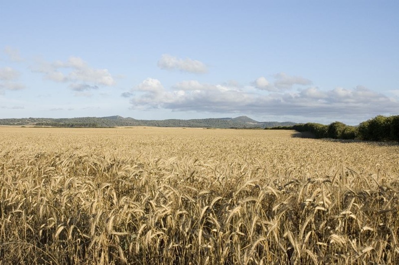 CONSELHO ESTRATÉGICO DO ALENTEJO LITORAL REÚNE-SE Alente10