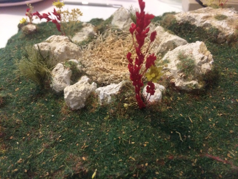 [Diorama + mini tuto] Nid de dragon Img_0423