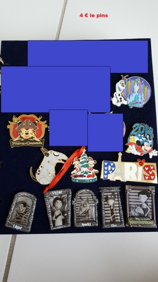 47 - [Vente - Recherche] pin's disney / pin trading  (TOPIC UNIQUE) - Page 4 20160524