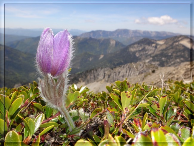 Drôme : Bas Diois et Haut Diois - 15 et 16 mai 2016 1712