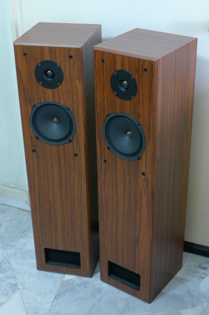 Loth-X Icon 2 Floorstanding Speakers (Used) SOLD P1120138