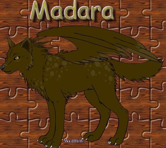 ~ Galerie de Nahima ~ Madara10