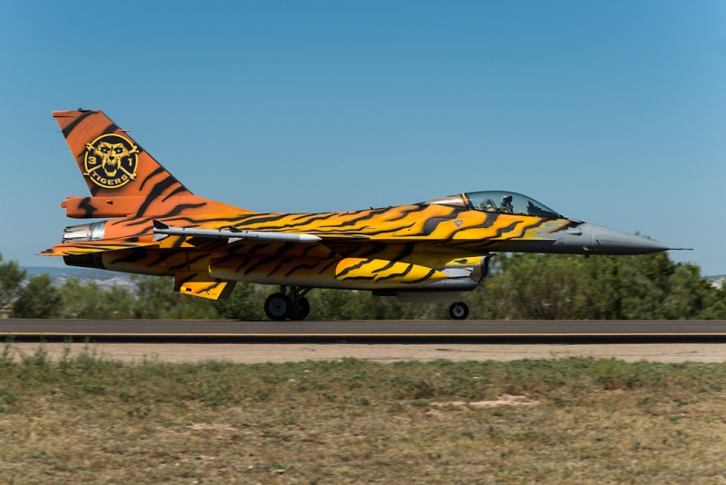 NATO Tiger Meet 2016 Spotters Day - Page 6 _dsc3914