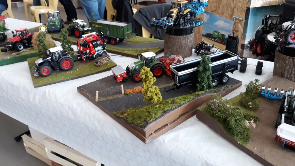 85 - Venansault : expo de miniatures 20190330