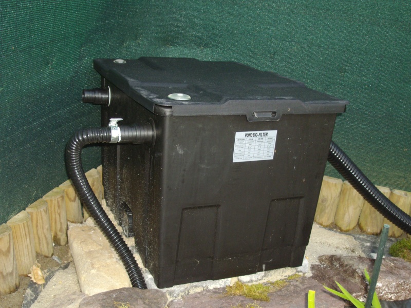 Aide filtration naturelle pour bassin extérieur - Page 2 Imgp0119