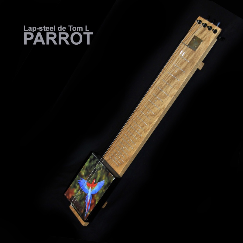 Cigar Box Guitar Mirsa Pépence - Page 3 Parrot10