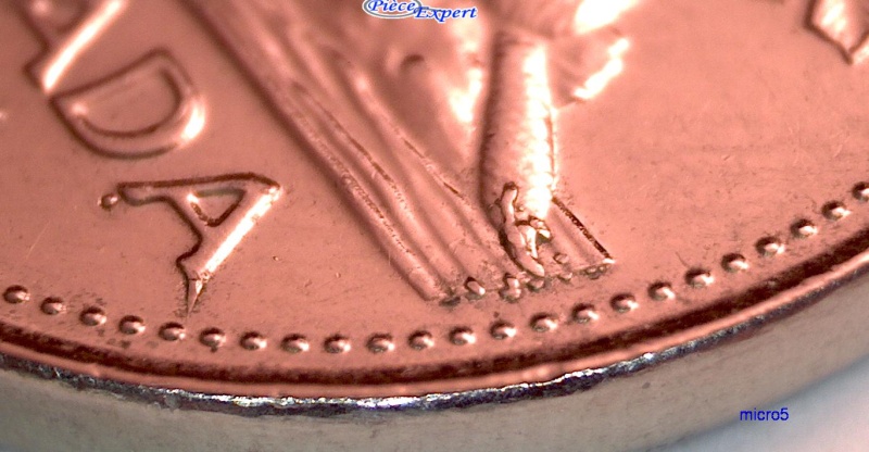 2001P - Éclats de Coin sur Queue & Bûche (Die Chip on Tail & Wood) Cpe_i121