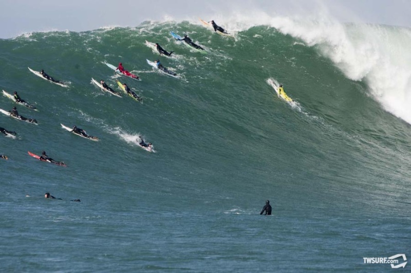 Surf 8a8e8311