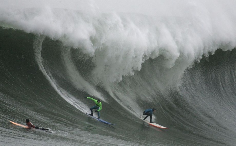 Surf 920x9210