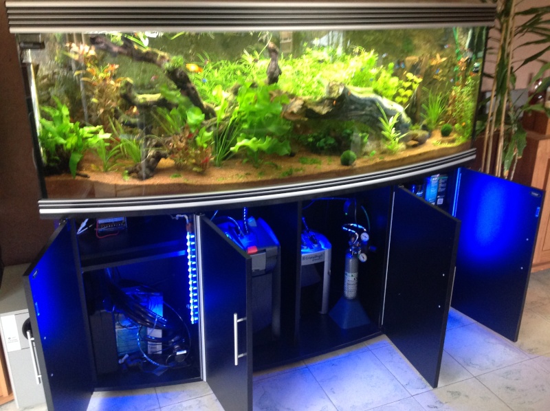 je me présnte et mon aquarium Img_0221