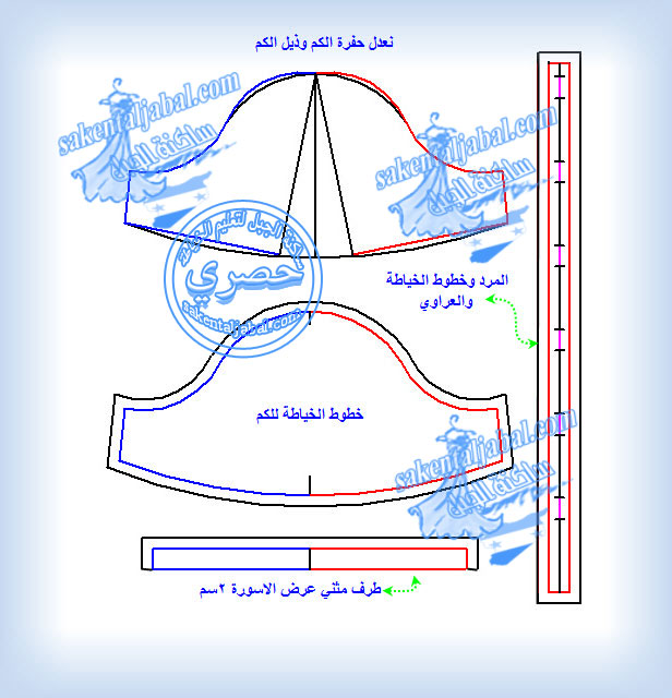 بلوز بناتي تشريح  714