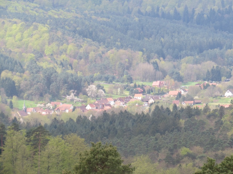 Dimanche 24 Avril 201624 : visite de L'ACPO Association pour la Conservation du Patrimoine Obernois (kagenfels, birkenfels, remparts et vieille ville )  Img_1434