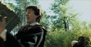 Harry Potter (J. K. Rowling, 1997-2007) Nevill11