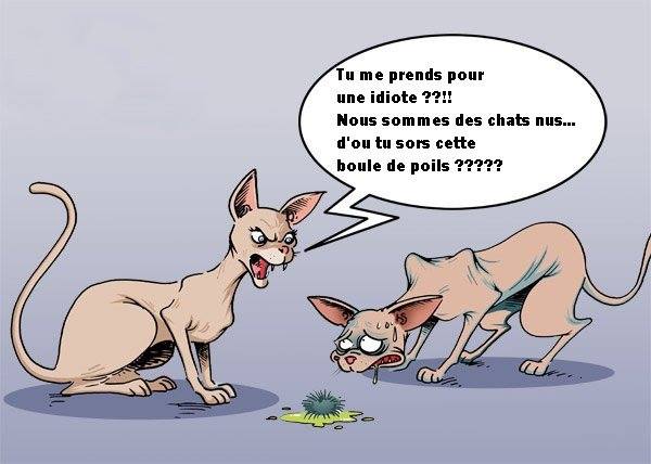 HUMOUR - Drôles de bêtes... 12346811