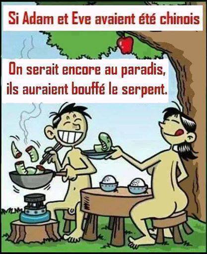 HUMOUR - blagues - Page 14 2015hu10