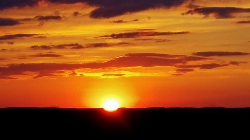 Good morning Sunshine! 04011611