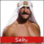 WWE ROSTER XX1 N°1 Sabu10