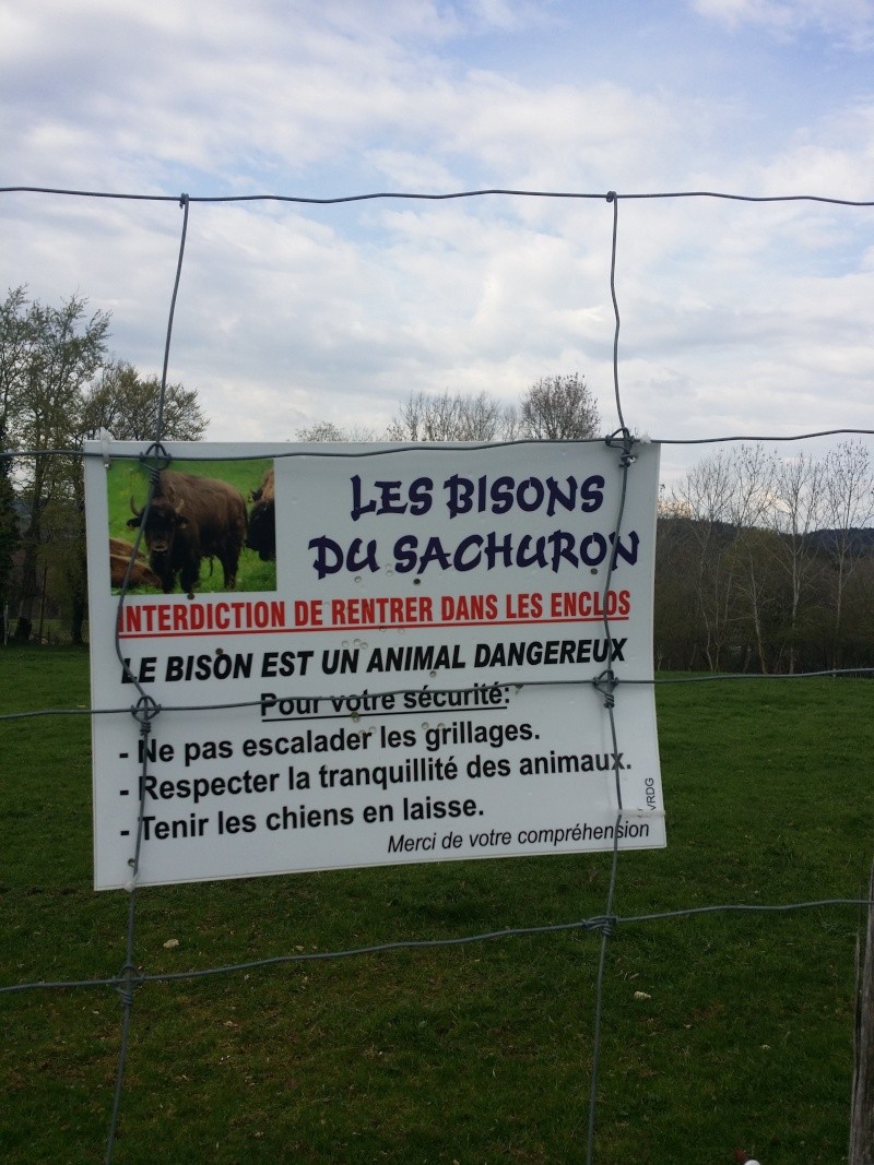 animaux - Animaux croisés sur la route pendant vos sorties en VH - Page 14 20160414