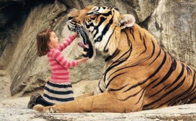 أهم النصائح لسلامة الطفل في حديقة الحيوانات 11111473