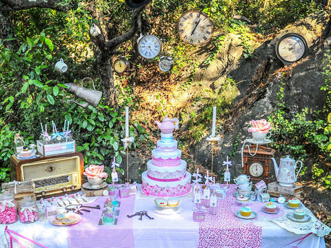 Anniversaire D Adulte Sur Disney