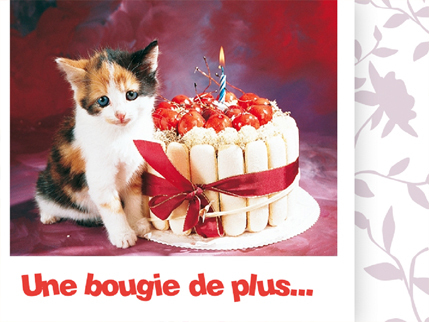 Joyeux Anniversaire Page 6 Joyeux Anniversaire Page 6